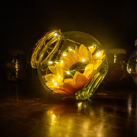 Girasol Solar fuente