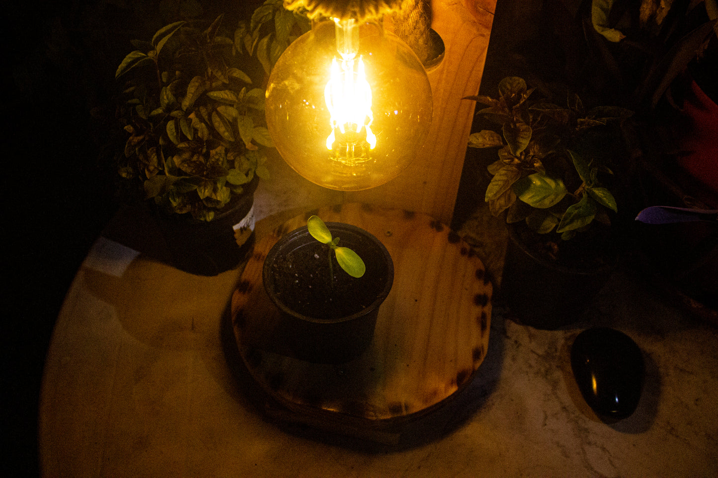 Espacios Luciérnagas kit