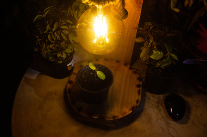 Espacios Luciérnagas kit